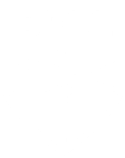 Bell Flight